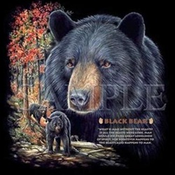 Black Bear Custom Night Shirt